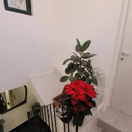 Casa Noemi Ragusa